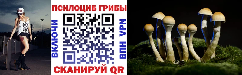 kraken зеркало  закладка  Абинск  Галлюциногенные грибы Cubensis 